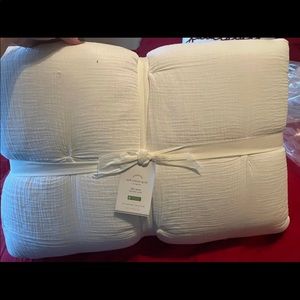 Pottery Barn queen soft cotton handcrafted quilt